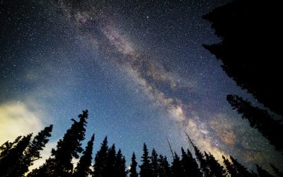 SkyWatchers December 6, 2025 – John Williams